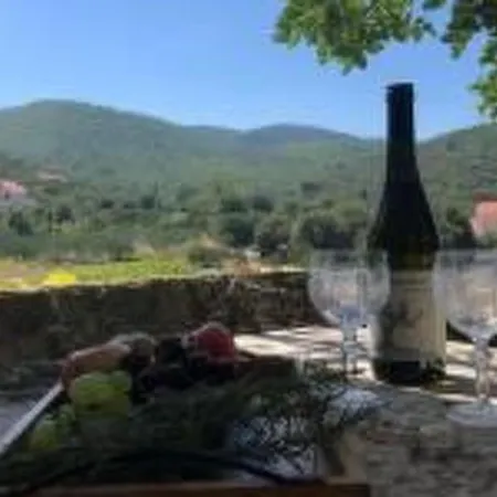 Kastil Mit Privatem Pool By Interhome Tatil Evi