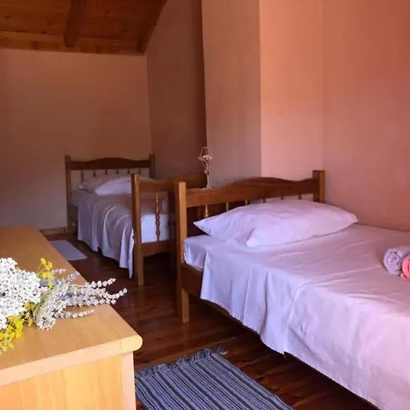 Tatil Evi Kastil Mit Privatem Pool By Interhome Korčula